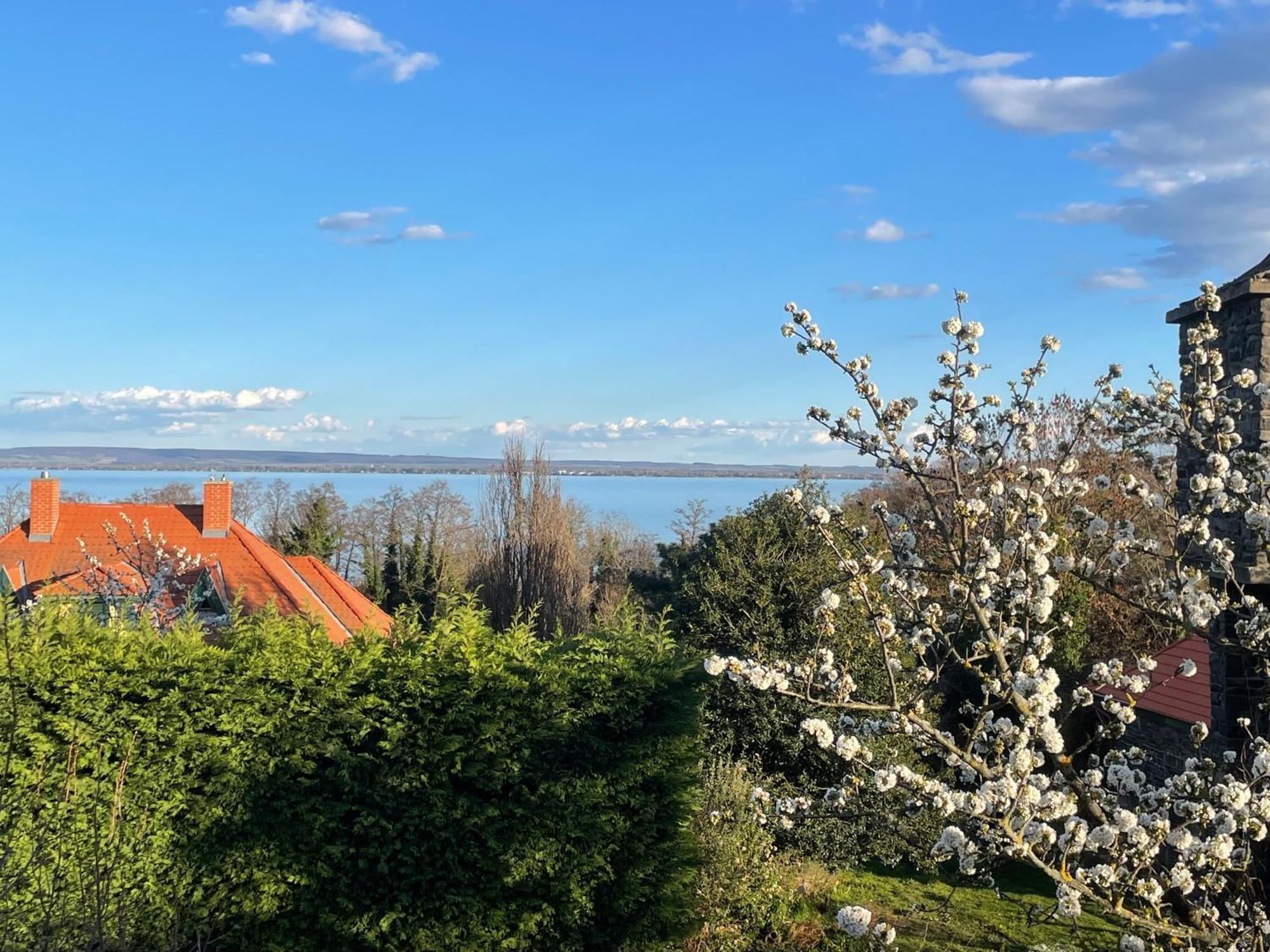 Szoegedi Villa Badacsonytomaj Zewnętrze zdjęcie